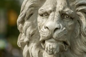 Yapp Makes History as the First Ever Head Coach of the Lions Women’s Team
