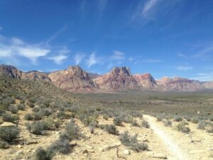 High Country Running: Exciting Stagecoach Line Races Thrill the Canyon Trail