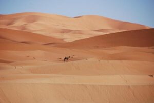 Morocco’s PFL Africa MMA League Prepares for an Electrifying Debut in Casablanca