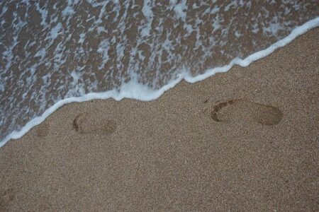 Several Beaches Closed to Swimming Due to Bacteria Warnings