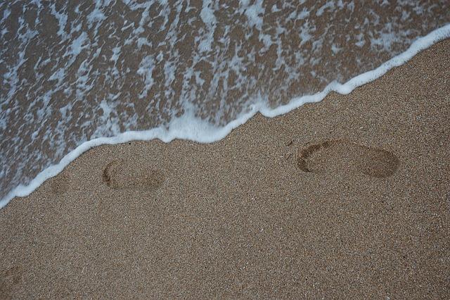 Several Beaches Closed to Swimming Due to Bacteria Warnings Several Beaches Closed to Swimming Due to Bacteria Warnings
