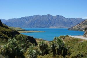 Otago Women’s Cricket Team: Complete Schedule, Results & Upcoming Matches