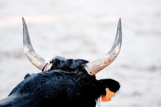 Racing Bulls Ready to Shatter Records in F1 Constructors’ Championship-No Team Orders Needed! Racing Bulls Ready to Shatter Records in F1 Constructors’ Championship-No Team Orders Needed!
