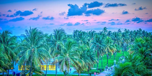 South Florida Women’s Tennis Set to Host Bedford Cup – USF Athletics South Florida Women’s Tennis Set to Host Bedford Cup – USF Athletics