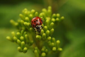 Marco Antonio Barrera Takes Apart Prince Naseem Hamed
