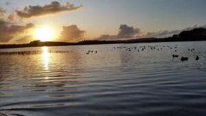 Jaron Ennis Signs Thrilling Seven-Fight Deal with Matchroom