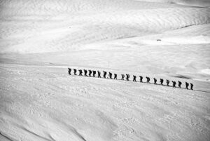 Lidl-Trek Launches Thrilling New Women’s Development Team Set for 2027