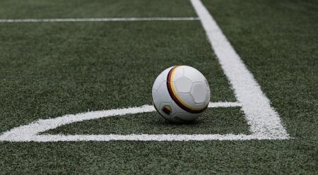 End use of artificial pitches – Rees-Zammit End use of artificial pitches – Rees-Zammit